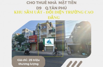 CỰC HIẾM - Cho thuê nhà Mặt Tiền D9 100m2, 2 Lầu+ST, 25Triệu